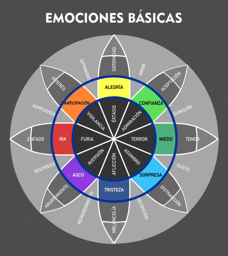 Qué es y cómo funciona la Rueda de las Emociones Incluye ficha de