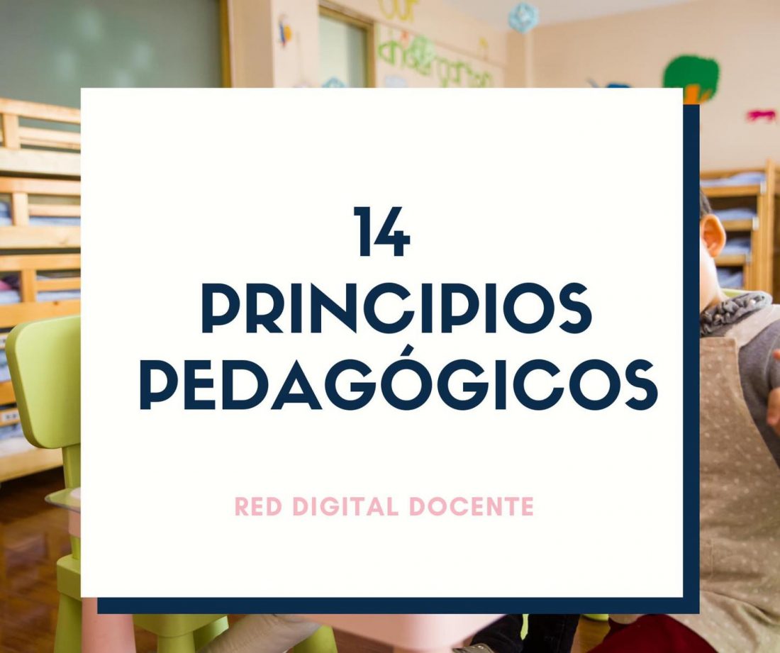 14 Principios pedagógicos que sustentan el plan de estudios