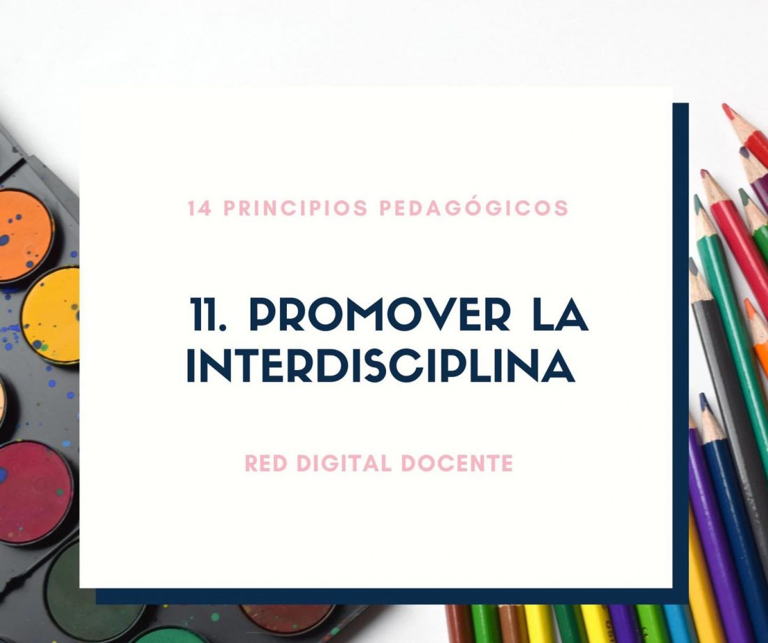 14 Principios pedagógicos que sustentan el plan de estudios