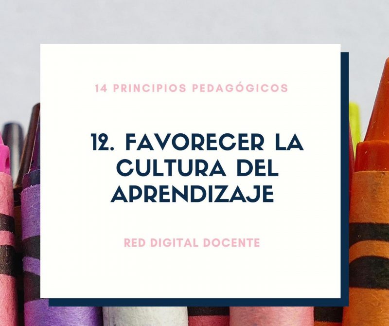 14 Principios pedagógicos que sustentan el plan de estudios