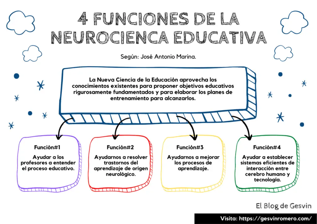 4 Funciones de la Neurociencia Educativa