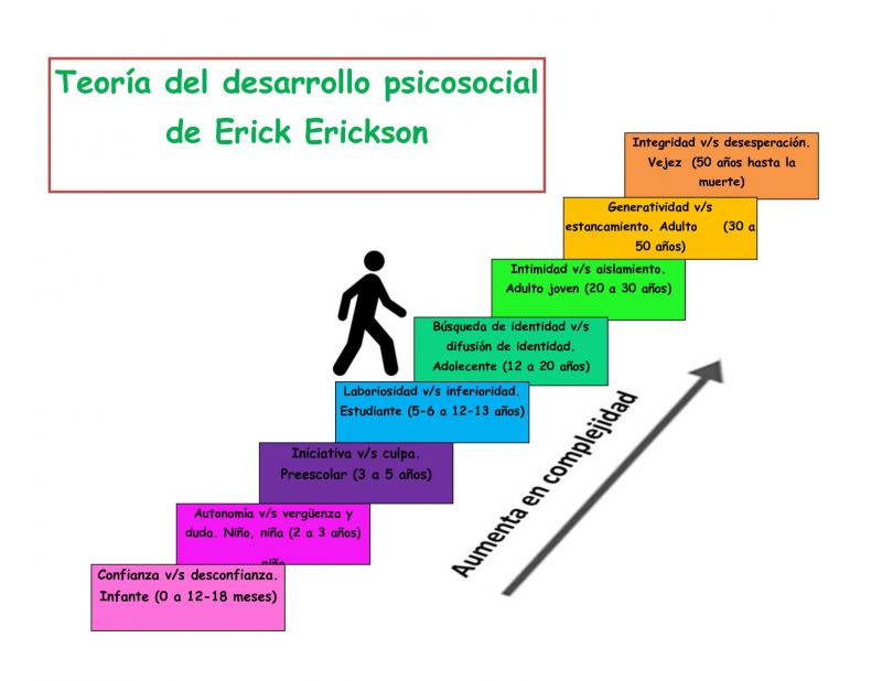 La teoría de Erik Erikson Las etapas del desarrollo psicosocial