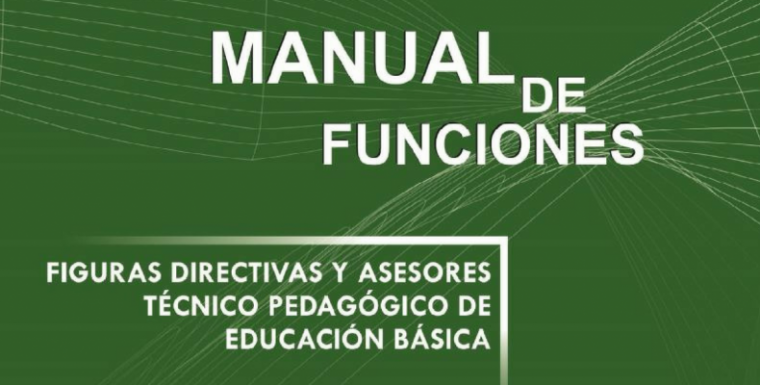 Manual De Funciones Del Director De Educacion Primaria
