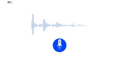 voz