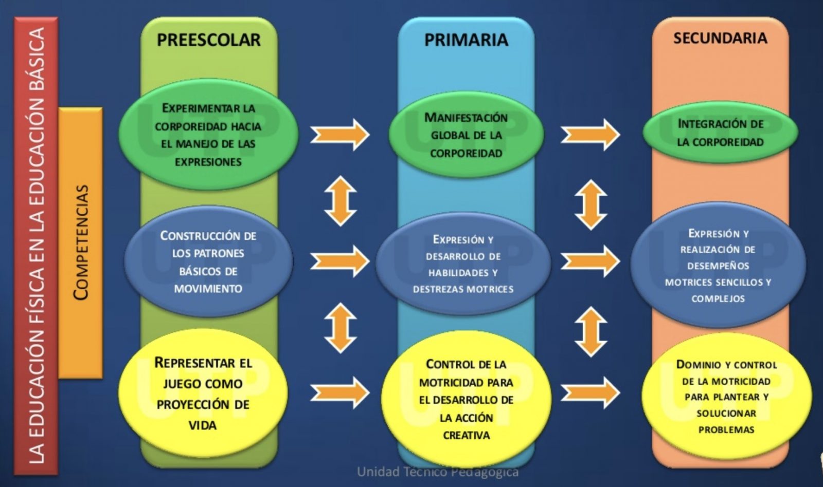 Los métodos de enseñanza en la Educación Física:100 estrategias