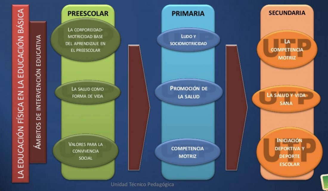 Estrategias de enseñanza y Estrategias metodológicas en Educación