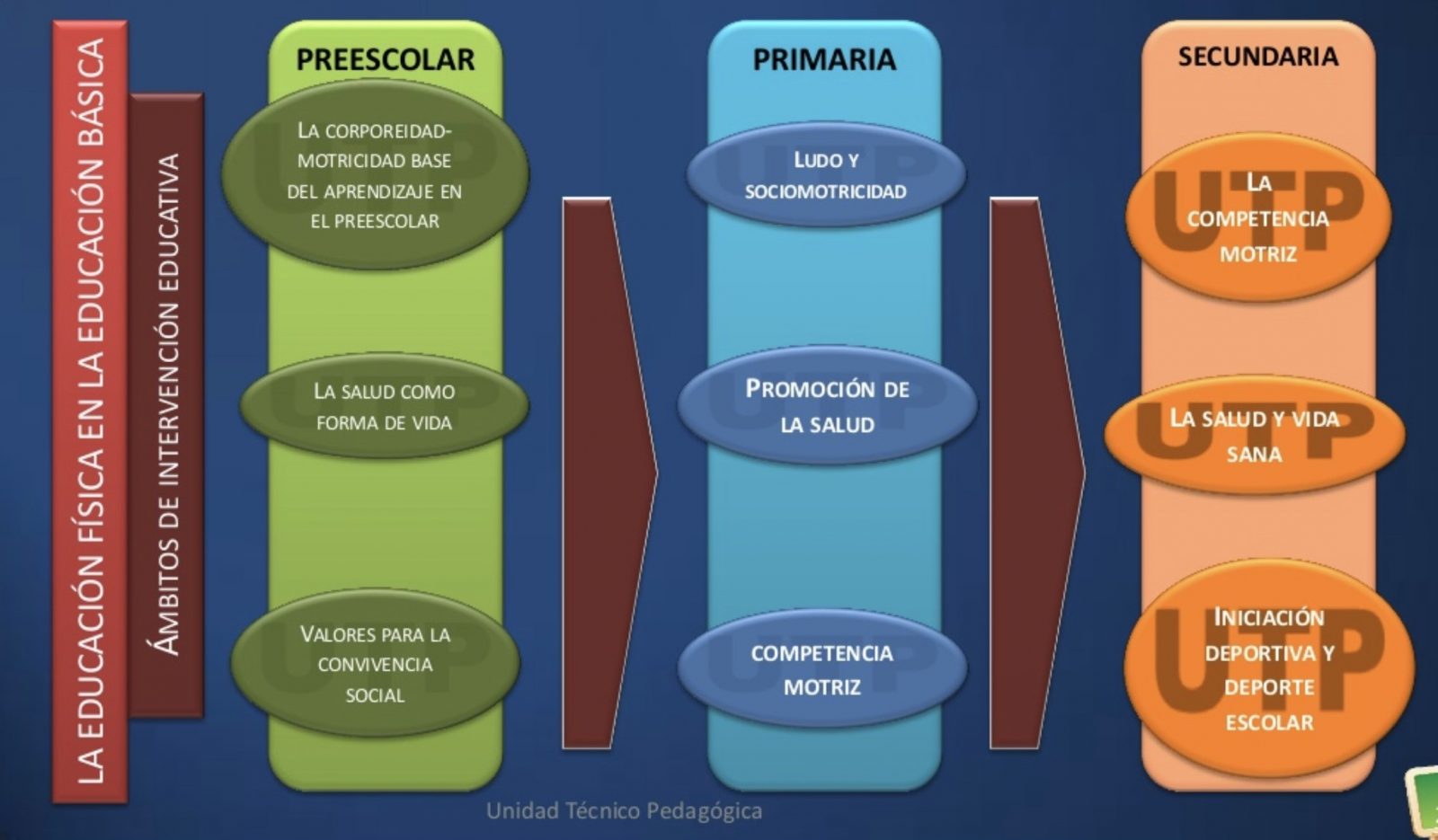 Estrategias De Enseñanza Y Estrategias Metodológicas En Educación 7107