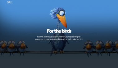 For the Birds