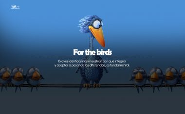 For the Birds