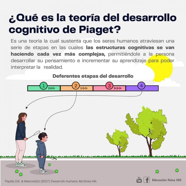 En qué consiste la teoría del desarrollo cognitivo de Piaget