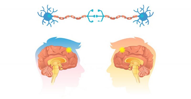 Reciente Hallazgo En La Ciencia Sostiene Que Somos Capaces De Crear ...