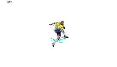 Roberto Carlos