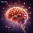 cómo aprende el cerebro